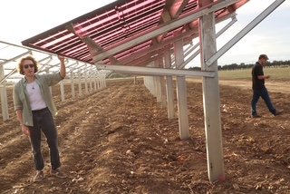 OMCO Choice fixed-tilt system with red spectrum-selective modules above a cultivated research field.