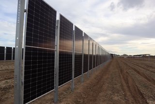 A row of vertically mounted solar panels beside prepared agricultural rows.