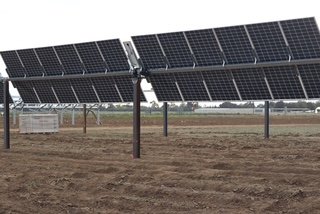 Tilted solar panel arrays elevated above an agricultural field.