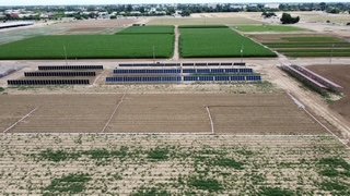 Aerial view of solar arrays among cultivated fields at the agrivoltaics research site.